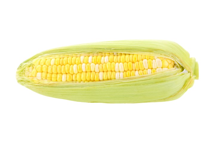 #3385 Fresh corn isolated on a transparent background